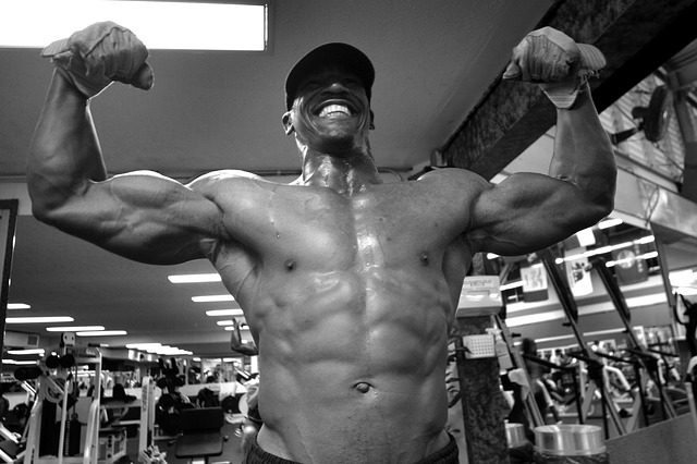 Pillars Of Making Muscle Gains